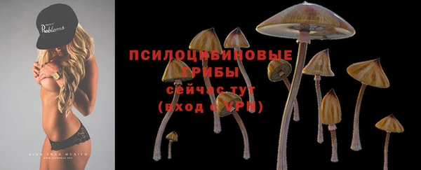 a pvp Бугульма